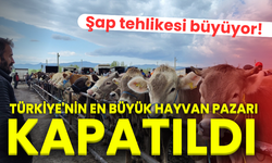 Şap tehlikesi büyüyor! Türkiye'nin en büyük hayvan pazarı kapatıldı