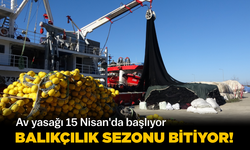 Balıkçılık sezonu bitiyor! Av yasağı 15 Nisan'da başlıyor