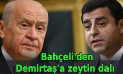 Bahçeli’den Demirtaş'a zeytin dalı