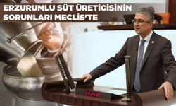 Erzurumlu süt üreticisinin sorunları Meclis'te