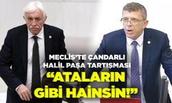 Meclis’te Çandarlı Halil Paşa tartışması... “Ataların gibi hainsin!”