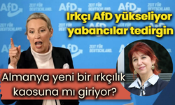 Irkçı AfD yükseliyor, yabancılar tedirgin, Almanya yeni bir ırkçılık kaosuna mı giriyor?