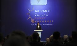 AK Parti Yerel Yönetimler Kültür Sanat Kongresi