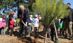 Antalya'da ağaçlandırma etkinliği düzenlendi