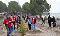 Burdur'da bu yıl 1 milyon fidan toprakla buluşturulacak