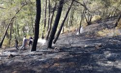 GÜNCELLEME - Fethiye'de çıkan orman yangını söndürüldü