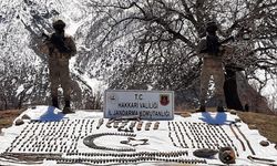 Hakkari'de terör operasyonunda silah ve mühimmat ele geçirildi