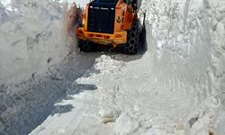 Hakkari'de yüksek kesimlerde karla mücadele çalışması sürüyor