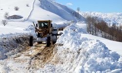 Van, Muş, Bitlis ve Hakkari'de 172 yerleşimin yolu kardan kapandı