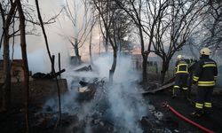 Bolu'da çıkan yangında odunluk ve sera kullanılamaz hale geldi