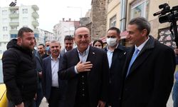 Dışişleri Bakanı Çavuşoğlu, Sinop Valiliğini ziyaret etti