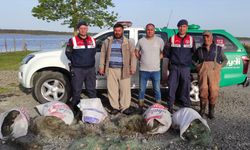 Kızılırmak Kuş Cenneti'nde kaçak avlanan sazan balıkları suya salındı