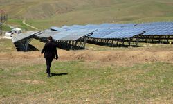 Muş'ta üç girişimci 20 dönümlük araziye güneş enerjisi santrali kurdu