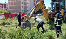 Hatay'da kanalizasyon çukuruna düşen inek telef oldu