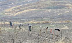 Sahte mayın haritası vermişler... Ermenistan'ın yalanı ortaya çıktı