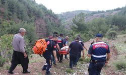 Osmaniye'de kayalıklardan düşen çoban yaralandı