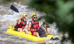 Alman kurt köpeği "Leo" Bursa'daki rafting turlarının maskotu oldu