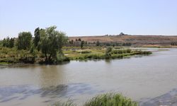 GÜNCELLEME - Dicle Nehri'nde akıntıya kapılan 3 öğrenci hastanede hayatını kaybetti