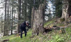 Ilgaz Dağı'ndaki kayak tesisi artık yaz aylarında da açık olacak