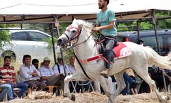 Osmaniye'de 10. Geleneksel Rahvan At Yarışları yapıldı