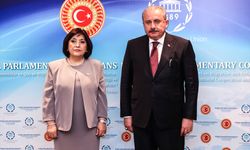 TBMM Başkanı Şentop, Azerbaycan Milli Meclis Başkanı Gafarova ile görüştü