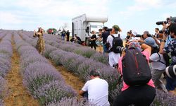 "Tekirdağ 2. Lavanta Günleri" etkinlikleri devam ediyor