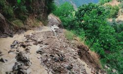 Tire'de etkili olan dolu tarım arazilerine zarar verdi