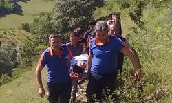 Tokat'ta kayalıklarda mahsur kalan kişiyi AFAD kurtardı