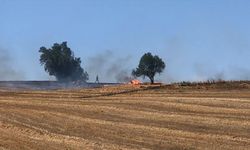 Balıkesir'de bir tarlada çıkan yangına müdahale ediliyor