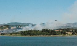 Çanakkale'de çıkan orman yangınına müdahale ediliyor