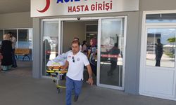 Erzincan'da ayı saldırısında ağır yaralanan kadın tedaviye alındı