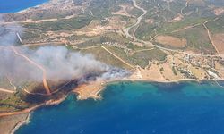 GÜNCELLEME - İzmir'de çıkan orman yangınlarına müdahale ediliyor