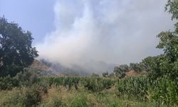 İzmir'de makilik alanda çıkan yangına müdahale ediliyor