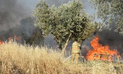 İzmir'de palet imalathanesinde çıkan yangın söndürüldü