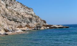 Karaburun-Ildır Körfezi'ndeki doğal yaşam kayıt altında