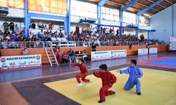 Mardin'de Wushu Şampiyonası başladı