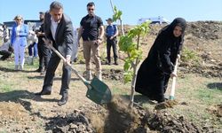 Sinop'ta 15 Temmuz şehitleri için 251 fidan toprakla buluşturuldu