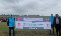 TDV'den Etiyopya'ya kurban eti dağıtımı