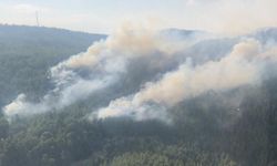 Burdur'daki orman yangını kontrol altına alındı