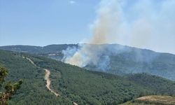 Çanakkale'de çıkan orman yangınına müdahale ediliyor