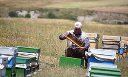 Kars'taki arıcılar verimli bir sezon bekliyor