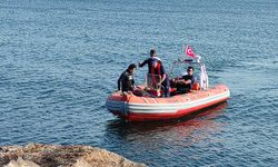 Kartal sahilinde denizde el bombası bulundu