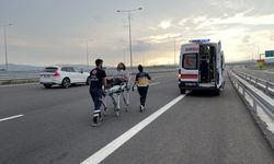 Kuzey Marmara Otoyolu'ndaki trafik kazasında 2'si çocuk 7 kişi yaralandı