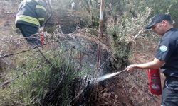 Muğla'da otluk alanda çıkan yangın söndürüldü