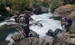 Müküs Çayı'nda akıntıya kapılan hemşireye ulaşılmaya çalışılıyor