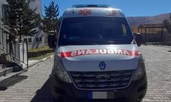 Ağrı'da özel şirkete ait ambulansta 12 düzensiz göçmen yakalandı