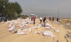 Gaziantep'te seyir halindeki tırdan düşen yem çuvalları trafiği aksattı