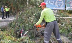 Hatay'da devrilen ağacın altında kalan motosikletteki 2 kişi yaralandı