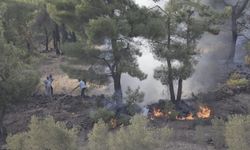 Hatay'da ormanlık alanda çıkan yangına müdahale ediliyor