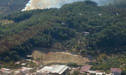 İzmir Kemalpaşa'da çıkan orman yangınına müdahale ediliyor